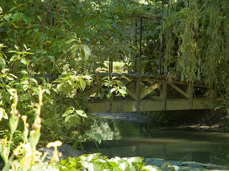 Bridge over the pond