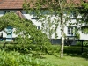West Luccombe Cottage