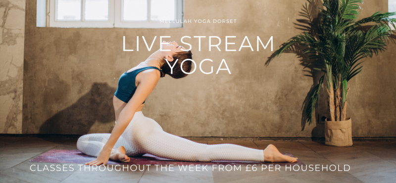 Live Stream Yoga